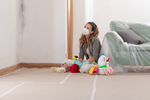 Reliable Mold Remediation contractor in Norwood Young America, MN by WQB Mold Removal